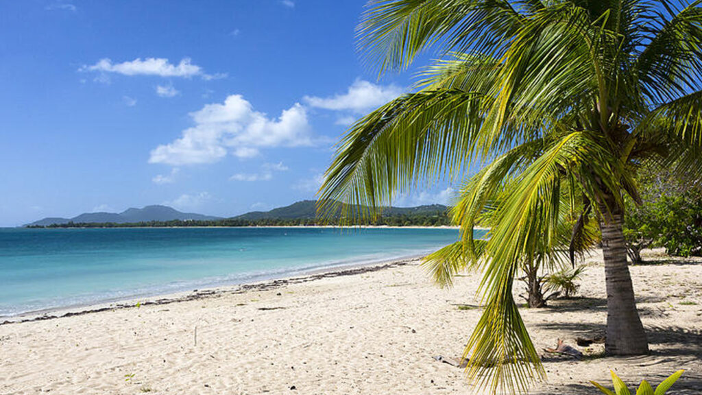 Sun Bay Beach Vieques